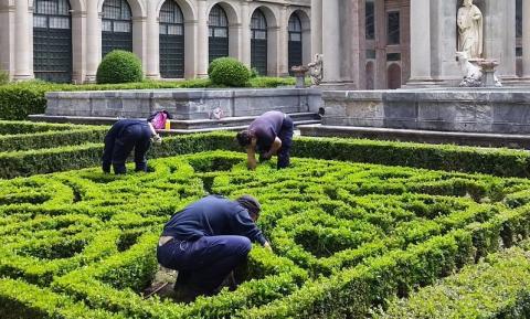 Taller de Empleo de Jardinería en Lanzarote