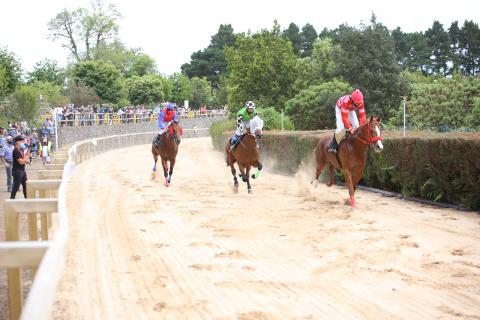 Carrera de caballos en La Laguna de Valleseco (Gran Canaria) / CanariasNoticias.es