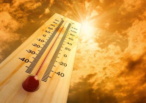 Máximas de calor en Canarias/ canariasnoticias