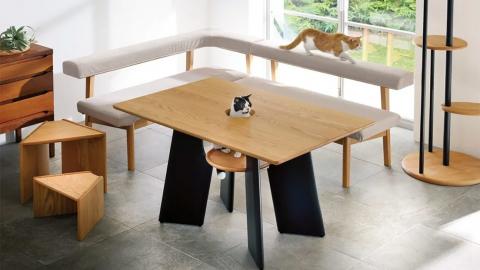 Mesa de comedor para gatos 