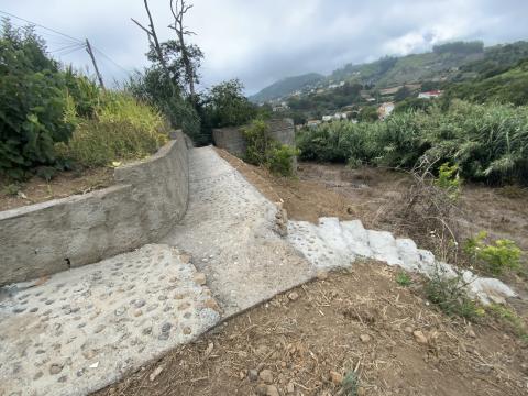 Camino rural de La Majadilla en Valleseco (Gran Canaria) / CanariasNoticias.es