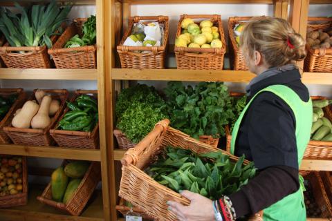Mercado Ecológico “EcoValles” de Valleseco / CanariasNoticias.es Mercado Ecológico “EcoValles” de Valleseco / CanariasNoticias.es