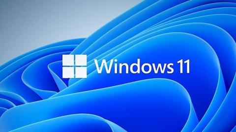 Windows 11