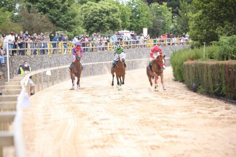 Carrera de caballos en La Laguna de Valleseco (Gran Canaria) / CanariasNoticias.es