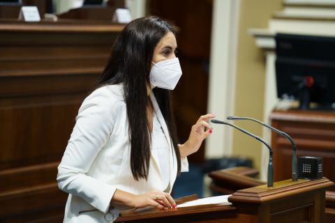 Vidina Espino, portavoz del Grupo Mixto en el Parlamento de Canarias / CanariasNoticias.es