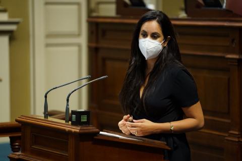 Vidina Espino, portavoz del Grupo Mixto en el Parlamento de Canarias / CanariasNoticias.es Vidina Espino, portavoz del Grupo Mixto en el Parlamento de Canarias / CanariasNoticias.es