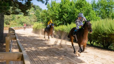 Hipódromo de La Laguna de Valleseco (Gran Canaria) / CanariasNoticias.es