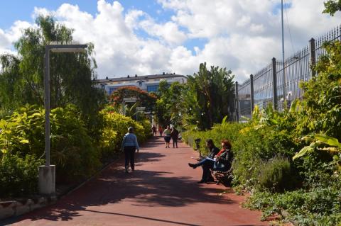 Parque de San Juan en Telde (Gran Canaria) / CanariasNoticias.es