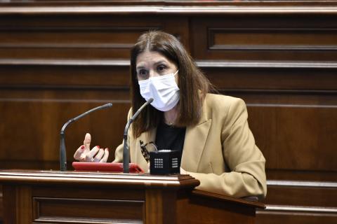 Carmen Hernández en el Parlamento de Canarias / CanariasNoticias.es