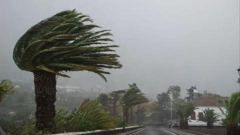 Viento en Canarias 