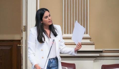 Vidina Espino, en el Parlamento de Canarias / CanariasNoticias.es Vidina Espino, en el Parlamento de Canarias / CanariasNoticias.es