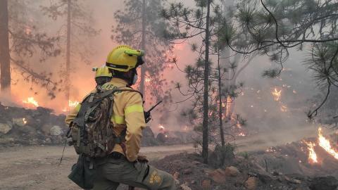 Prevención de incendios forestales en Canarias