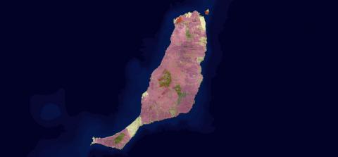 Grafcan actualiza el mapa de vegetación de Fuerteventura