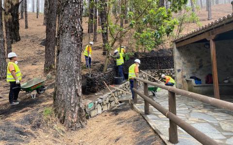 Área Recreativa del Refugio de El Pilar (La Palma) / CanariasNoticias.es