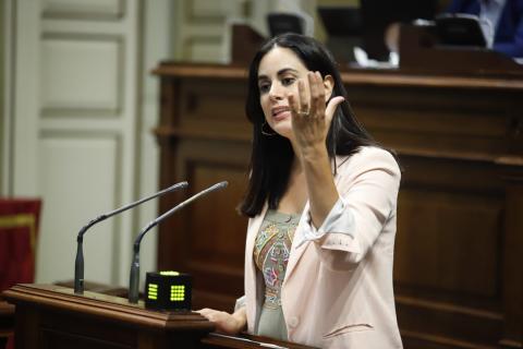 Vidina Espino, en el Parlamento de Canarias / CanariasNoticias.es