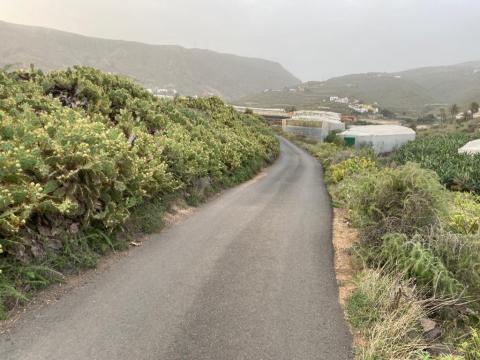 Carretera de El Farragú en Gáldar / CanariasNoticias.es