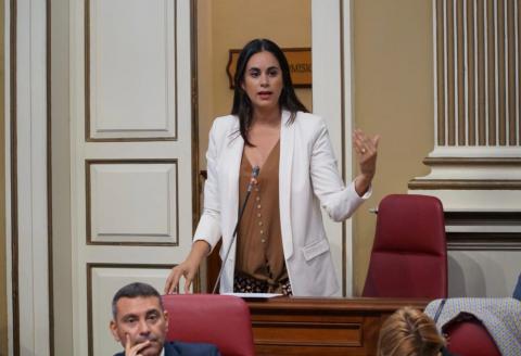 Vidina Espino, en el Parlamento de Canarias / CanariasNoticias.es