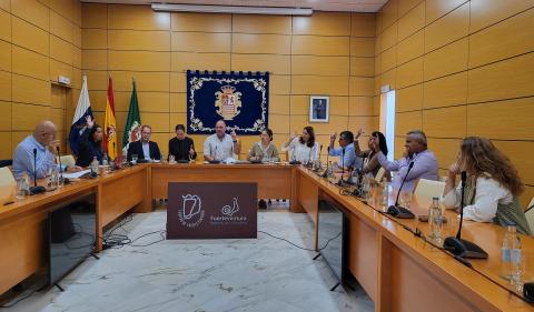 Pleno del Cabildo de Fuerteventura / CanariasNoticias.es