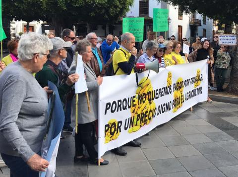 Protesta de la Plataforma por un Precio Justo para el Plátano / CanariasNoticias.es 