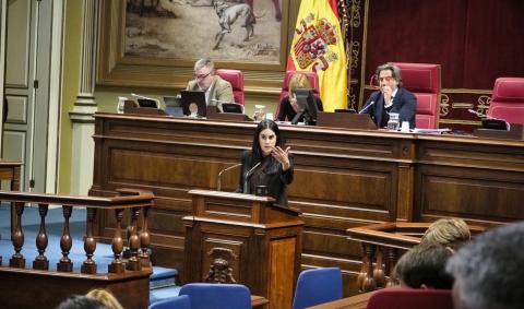 Vidina Espino, portavoz del Grupo Mixto en el Parlamento de Canarias / CanariasNoticias.es