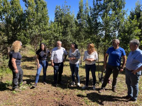 Emplea Verde Gran Canaria / CanariasNoticias.es 