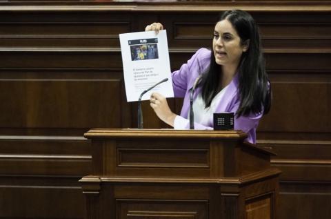 Vidina Espino, portavoz del Grupo Mixto en el Parlamento de Canarias / CanariasNoticias.es