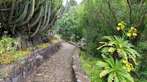 Plantas y flores que estarán todo el año perfectas en tu jardín