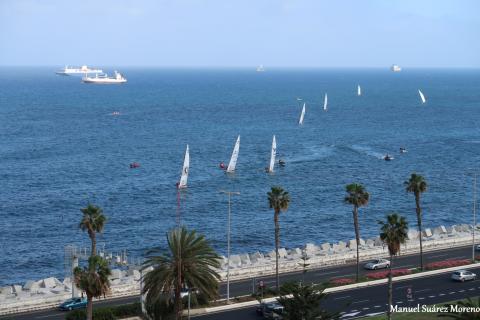 Vela Latina Canaria en Las Palmas de Gran Canaria 