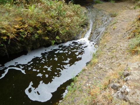 Vertido de sosa cáustica en barranco / CanariasNoticias.es 