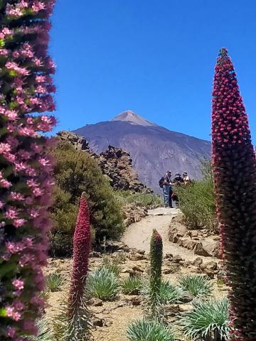 Ruta por el Parque Nacional del Teide / CanariasNoticias.es 