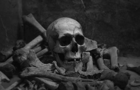 Esqueleto en excavación 