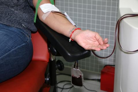 Donante de sangre del ICHH / CanariasNoticias.es Donante de sangre del ICHH / CanariasNoticias.es