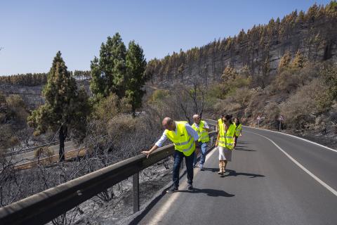 Estado de las carreteras tras incendio / CanariasNoticias.es