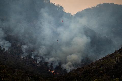 Incendio forestal 