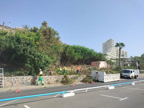Limpieza del paisaje verde del Anexo II / CanariasNoticias.es
