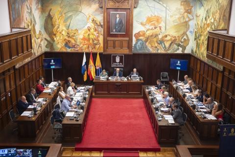 Pleno del Cabildo de Gran Canaria / CanariasNoticias.es