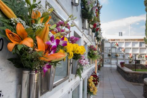 Cementerio de Adeje / CanariasNoticias.es 