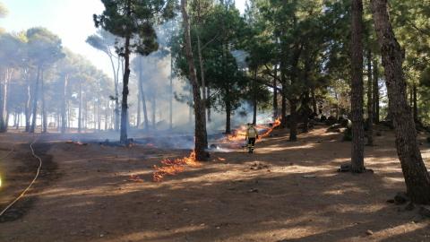 Quemas prescritas en la Cumbre / CanariasNoticias.es 