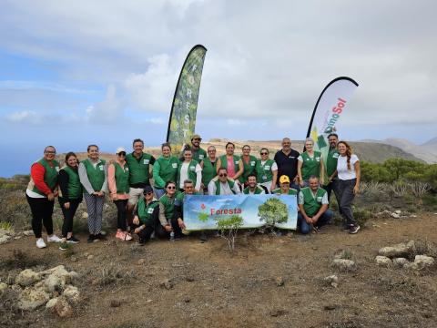 Reforestación en Haría / CanariasNoticias.es 