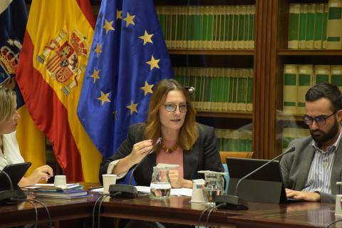 Candelaria Delgado, consejera de Bienestar Social / CanariasNoticias.es 