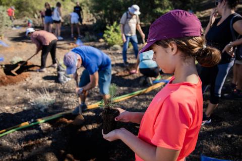 Fundación Foresta / CanariasNoticias.es 