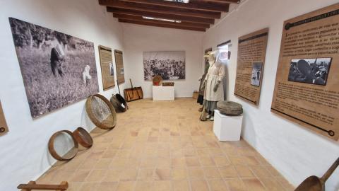 Exposición "Mujeres de Tierra y Sal" / CanariasNoticias.es 