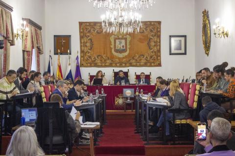 Pleno del Ayuntamiento de La Laguna / CanariasNoticias.es