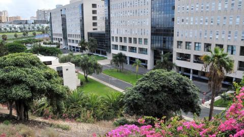 Hospital Doctor Negrín/ canariasnoticias.es