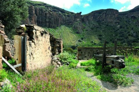 Caldera de Bandama / CanariasNoticias.es 