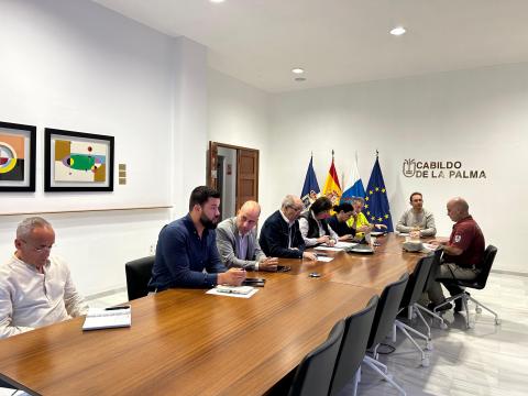 Reunión Peinpal / CanariasNoticias.es 
