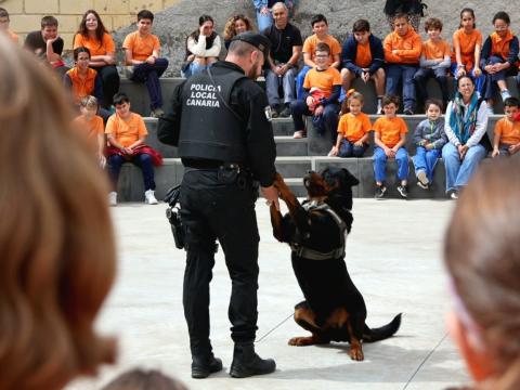 "Casper" cachorro Unidad Canina / CanariasNoticias.es 