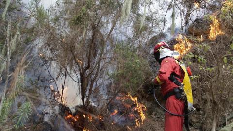 Incendio forestal en Tenerife / CanariasNoticias.es 