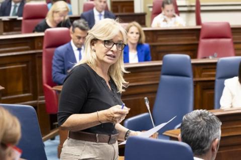 Esther Monzón, consejera de Sanidad / CanariasNoticias.es 