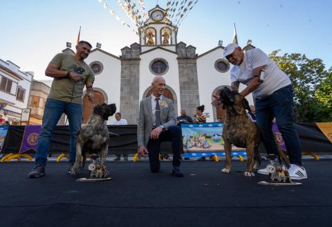 Concurso Monográfico del Presa Canario en Valleseco / CanariasNoticias.es 